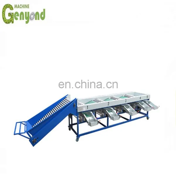 New Offer Prune Sorting Machine photo-5