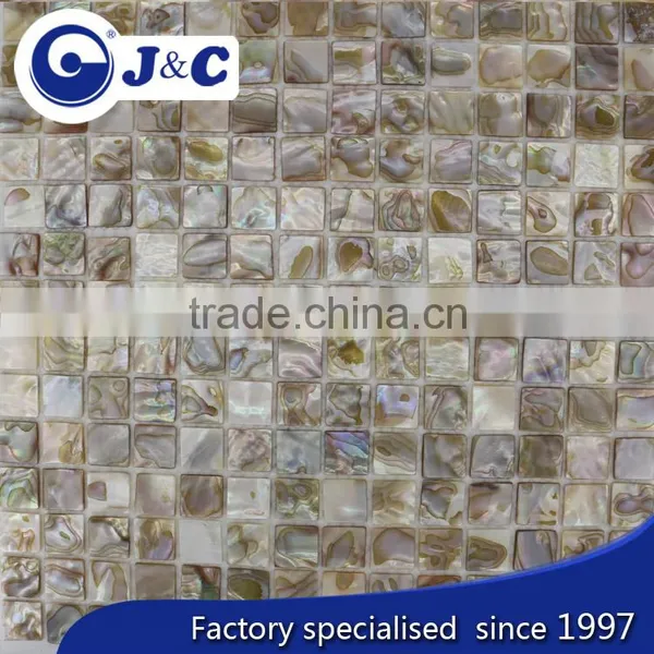 Low Price Natural River Shell Mosaic for Decoration photo-3