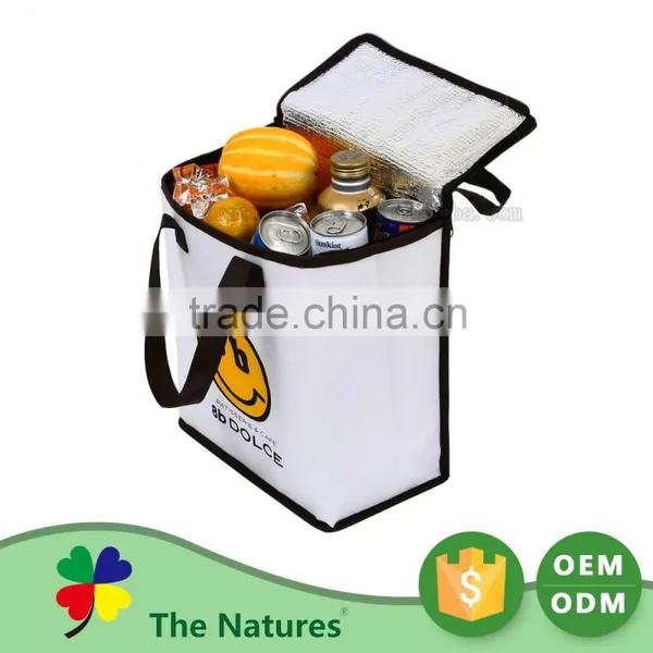 Exceptional Quality Custom Printed Logo Elegant And High End Frozen Food Soft Sided Insulated Cooler Bag photo-4