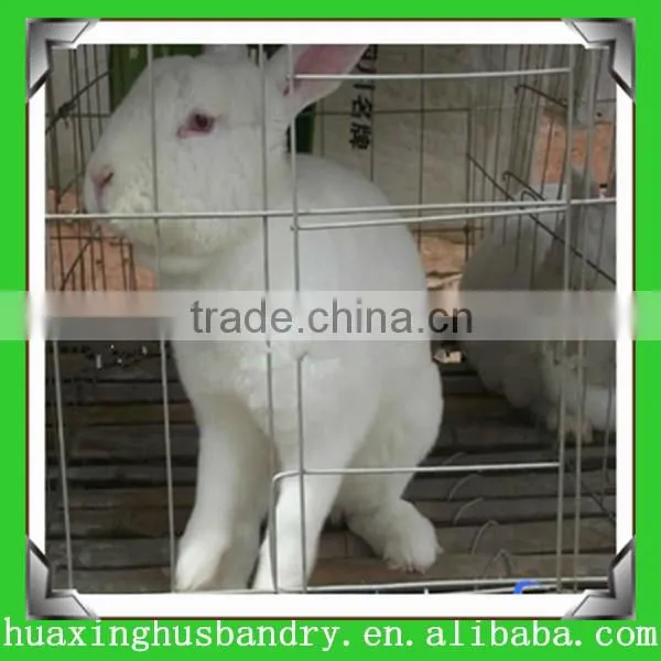 Rabbit Farming Cage/rabbit Breeding Cages/commercial Rabbit Cages