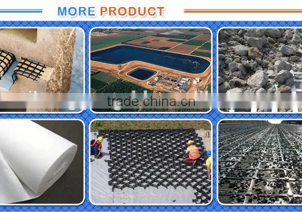 Geotextile and Geonet 3D Composite Drainage Geonet photo-6