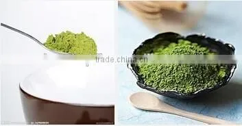 High Quality Organic Matcha Green Tea Powder / Premium Matcha photo-3