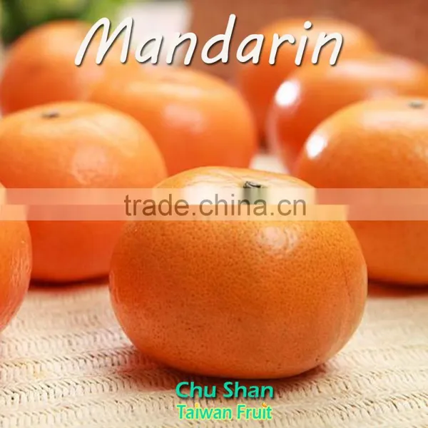 Mandarin Orange Citrus Fruit With Sweet Taste photo-6