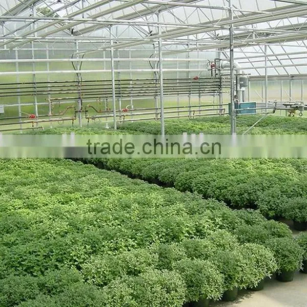 Polycarbonate PC Sheet Multi-span Greenhouse photo-4