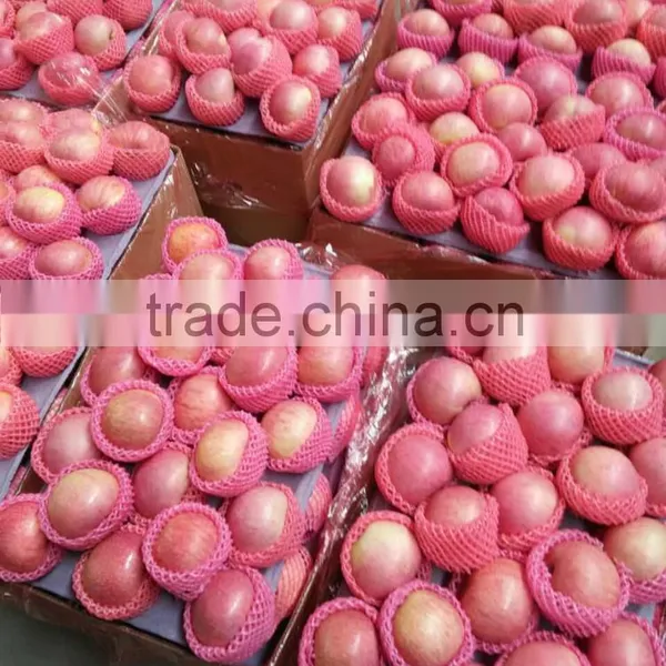 Hot Sell Red Qinguan Apples Shanxi Qinguan Apples Exporter photo-6