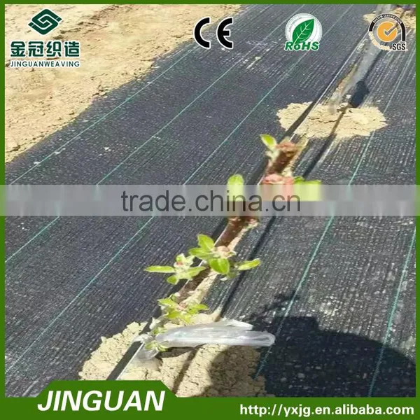 Ground Cover/ Polypropylene Woven Weed Mat/weed Control Mat