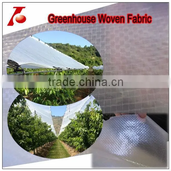 Clear Transparent pe Laminated Fabric Grape Tree Cover photo-3