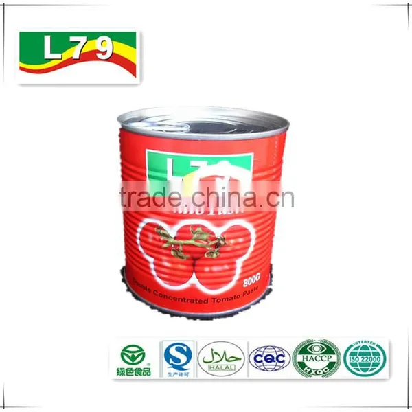 800G High Quality Manufactory Brix 28-30% Canned Tomato Paste photo-3