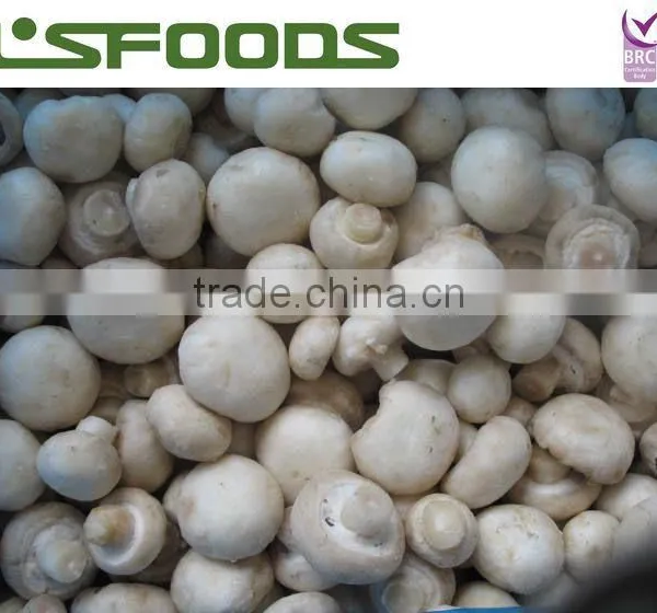 Frozen Mushroom Button Mushroom Champignon Mushroom photo-6