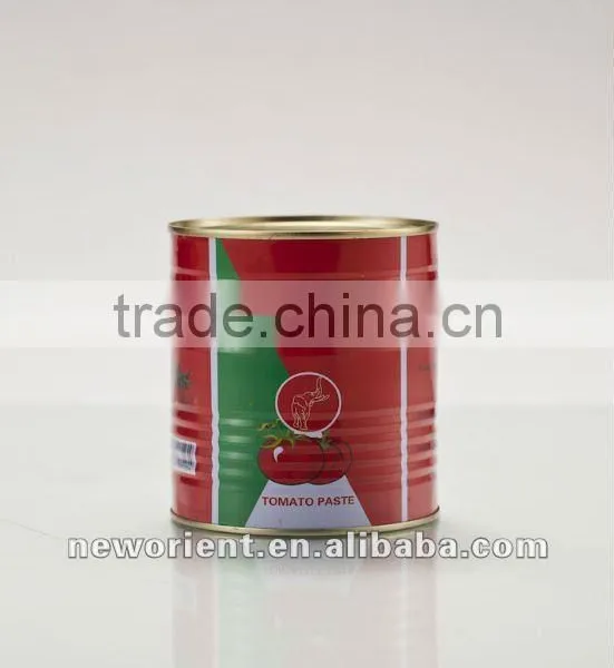 Oem Brand Canned Food Organic Flavor Tomato Paste Bright Red Color Tomato Ketchup Good Quality photo-2