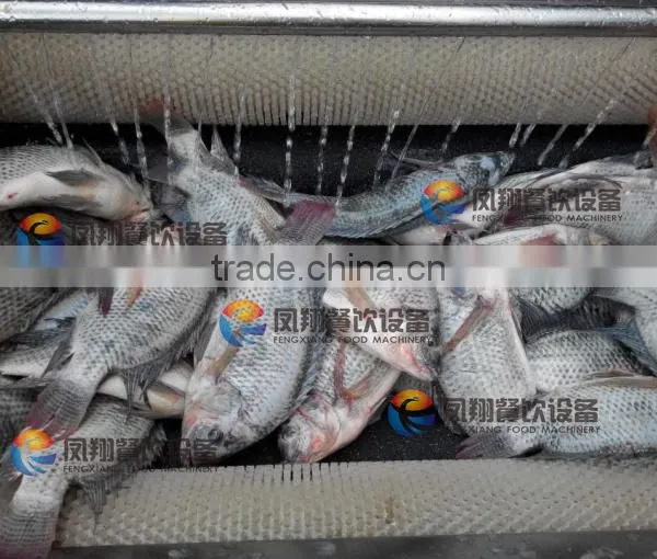 Industrial Automatic Fish Scale Removing Scaling Processing Machine photo-5