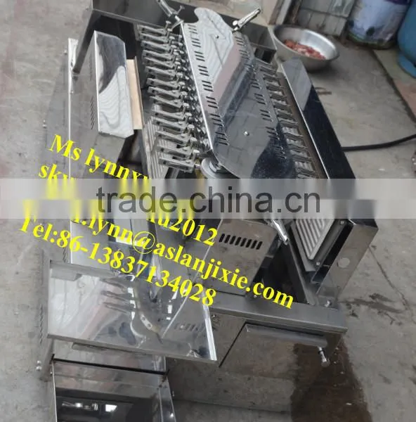Vertical Bbq Machine /rotary Chicken Grill Machine photo-4