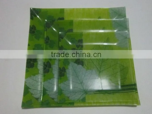 Salad Glass Bowl and Plate,glass Plate,hot Bending Glass Plate,high Quality Plate Made in Zibo City Shandong China photo-4