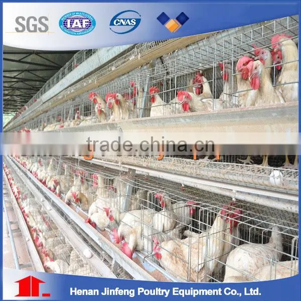 2017A Type Cages for Broiler Chicken photo-6