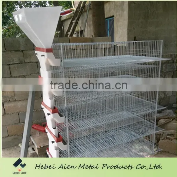 Quail Battery Cages