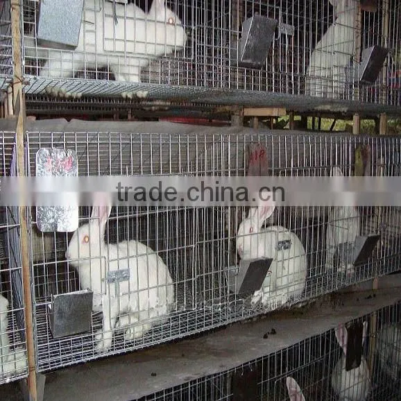 Top Promotion Double Rabbit Hutch For Sale photo-6