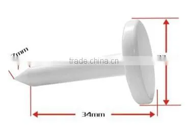 Free Sample! Customized Animal Tag With Factory Price photo-2