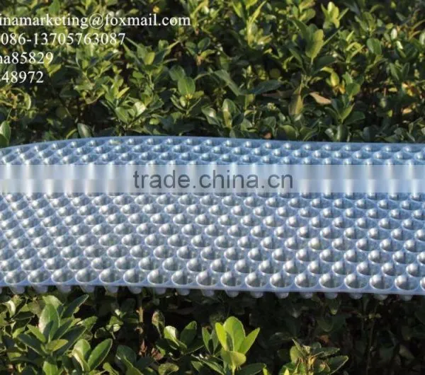 434 Holes Transparent Plastic Paddy Seed Starting Tray for Rice Propagation/Parachute Seedling Trays photo-2