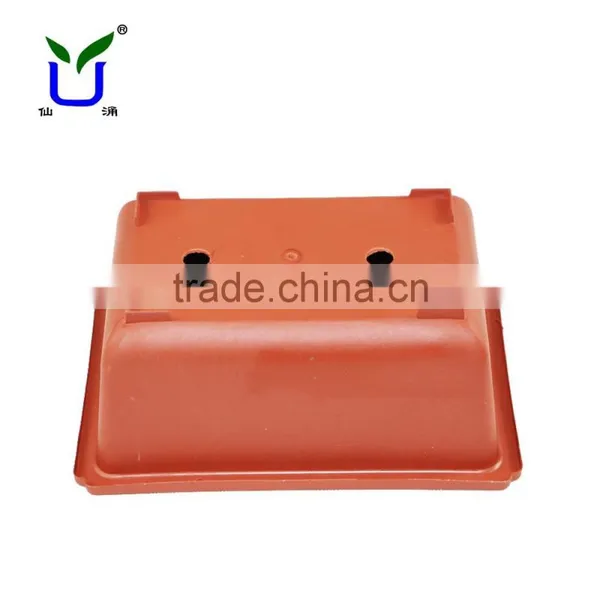 Rectangular Plastic Pot for Daffodils photo-2