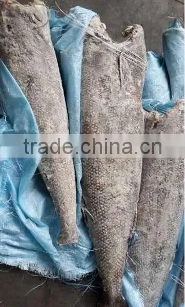 Smooth Skin Frozen Oil Fish Wholesale Food Prices photo-2