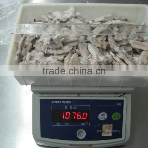 Grade A IQF Baby Squid Loligo Japonica photo-3
