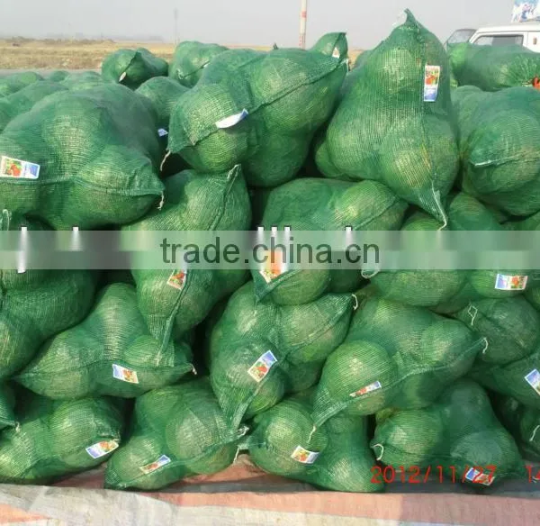 Onion PP Leno Mesh Bags, Plastic Bags for Vegetables photo-2