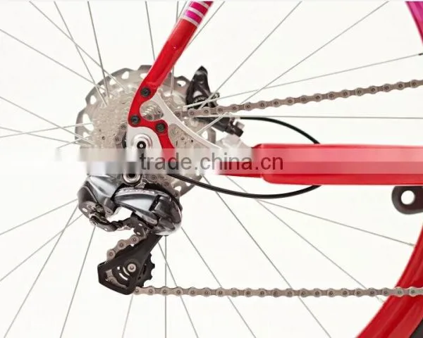 Belt Drive Bike B-2 Stealth and Strategic Bomber photo-5