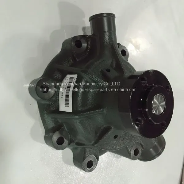 Hot Sale Hot Sale WP6G125E22 Engine Spare Parts 6B12H014518 12159770 WATER PUMP photo-2