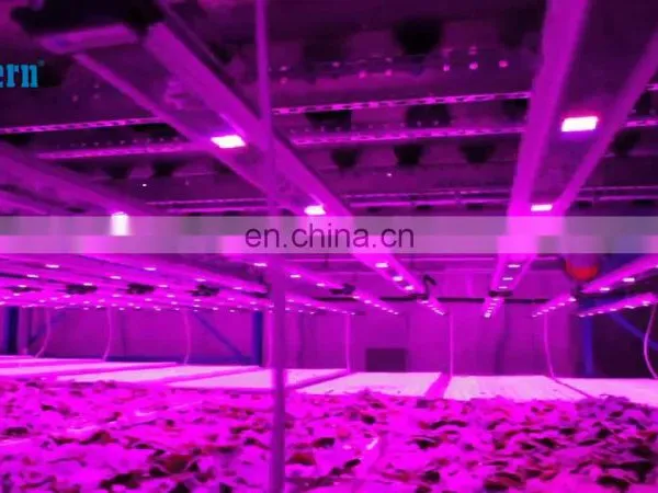 Wholesale Best Led Grow Light Tube Led Aluminum Alloy 1000W Led Plant Grow Light Horticulture Light for Green House T8 Grow Led