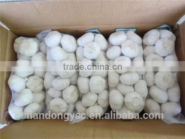 Factory Price Chinese Natural Red Garlic(normal White Garlic, Purple Garlic, White Garlic) photo-5