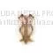 Butterfly Pin,Cotter Pin photo-3