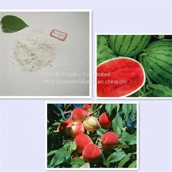 Plant Promoter 4-cpa 4-chlorophenoxyacetic Acid 98%tc in Agriculture photo-2