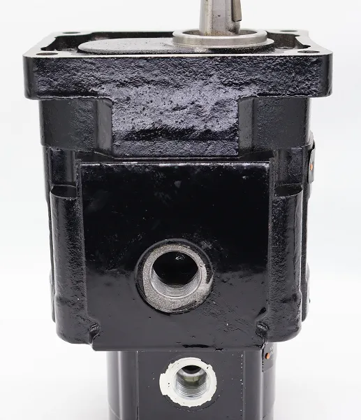 P365A578FEAB22-7 PGP330A197FJAB12-98 Gear Pump PGM PGP620 Series PGP517B0520CT1D7NE6E5+S-511A0110NE5E3 photo-2