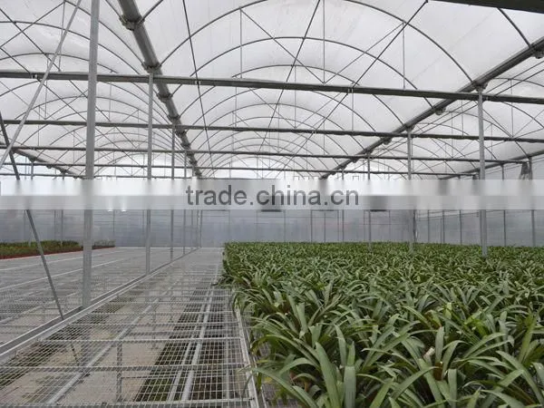 Hot Dipped Galvanized Frame Double Layers Inflatable Greenhouse photo-2
