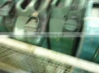 Petrol Can photo-3