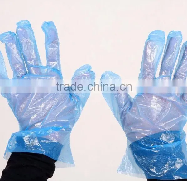 Disposable PE Glove