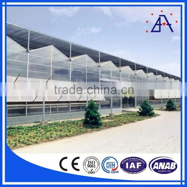 Hot Sales Aluminium Profile for Agriculture Greenhouse