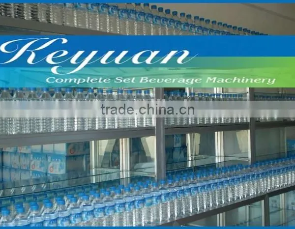 automatic small scale bottle water filling machine