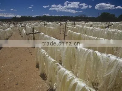 Natural Sisal Fiber and Yarn