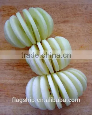 As Shown on tv Razor Sharp Stainless Steel Blades Apple and Pear Peeler Corer photo-5
