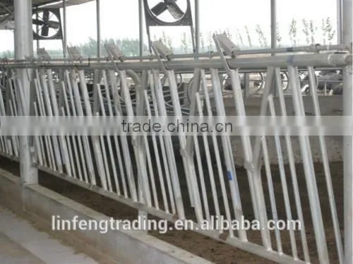 Animal Husbandry Equipment Cows Neck Cangue photo-2