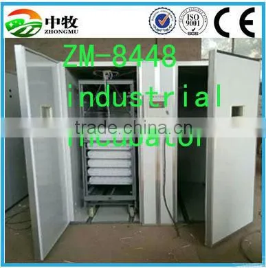 High Quality Multifunctional Egg Incubator for Sale photo-2