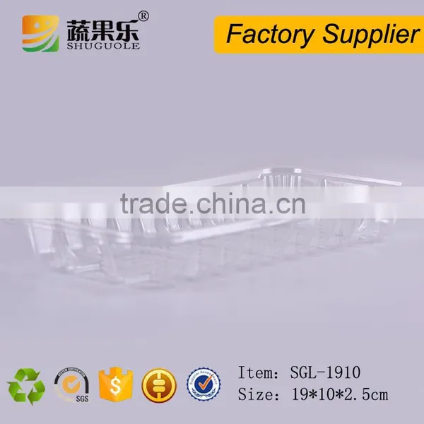 OEM Design PET Blister Vacuum Forming Plastic Tray photo-6