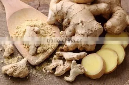 FRESH GINGER AND DRIED GINGER VIETNAM PACKING IN MESH BAG OR CARTON photo-2