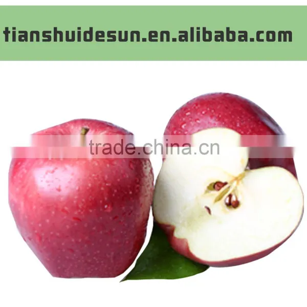 2016 New Crop New Season Huaniu Apple Fresh Apple China Gansu Tianshui Huaniu Apple