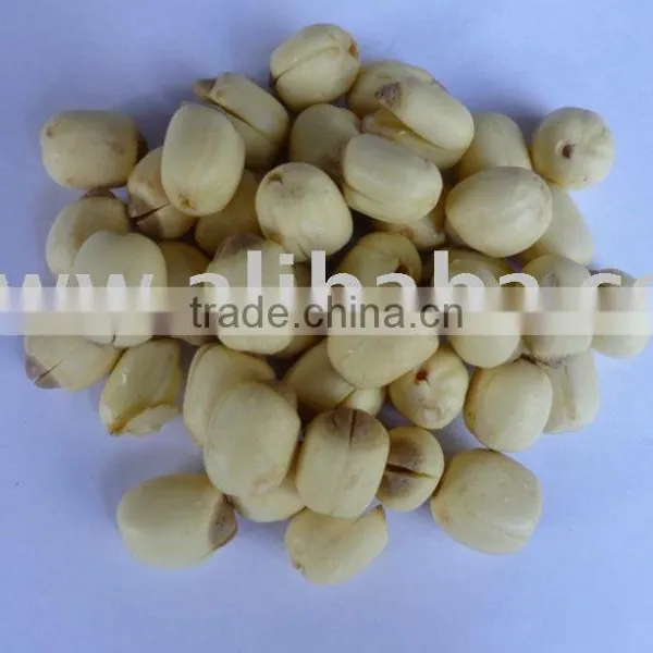 Lotus Seed