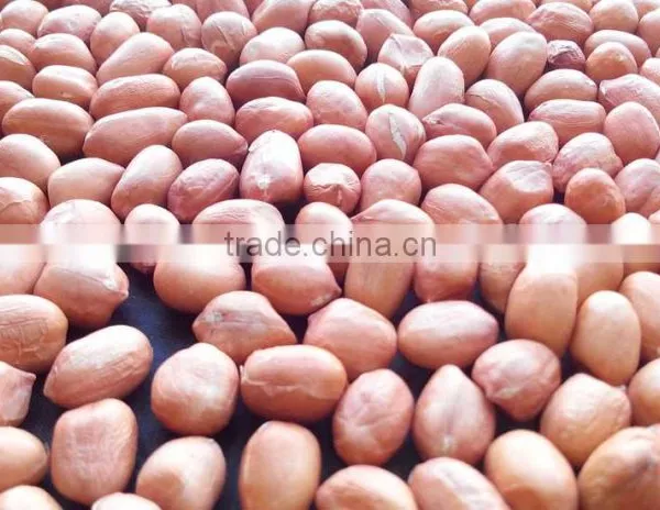 Roasted Peanuts photo-2