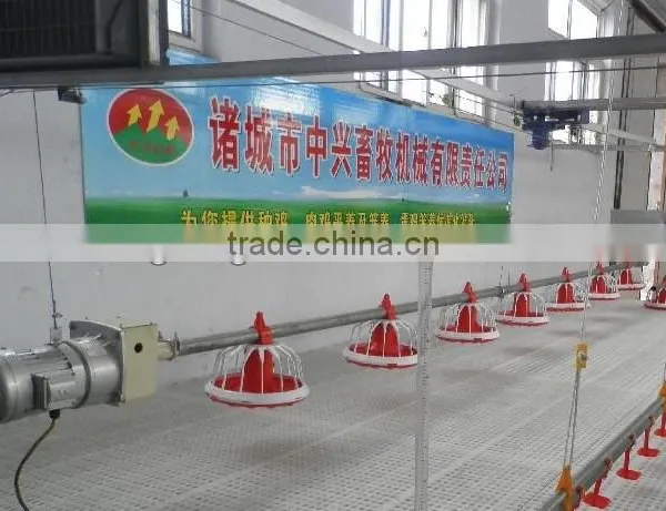 Poultry Equipment for Broiler