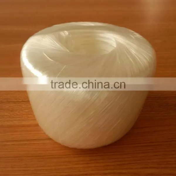 High Quality PP Tomato Twine for Agriculture Greenhouse From China photo-5