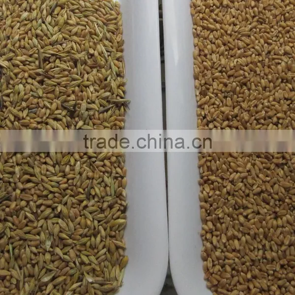 High Capacity CCD Wheat Color Sorter With Resort Configuration photo-2